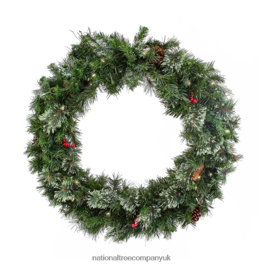 Greenery | National Tree Company 36 Glistening Pine Wreath with LED Lights F2L4F250